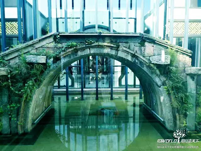 深圳知行走天下文化传播有限公司