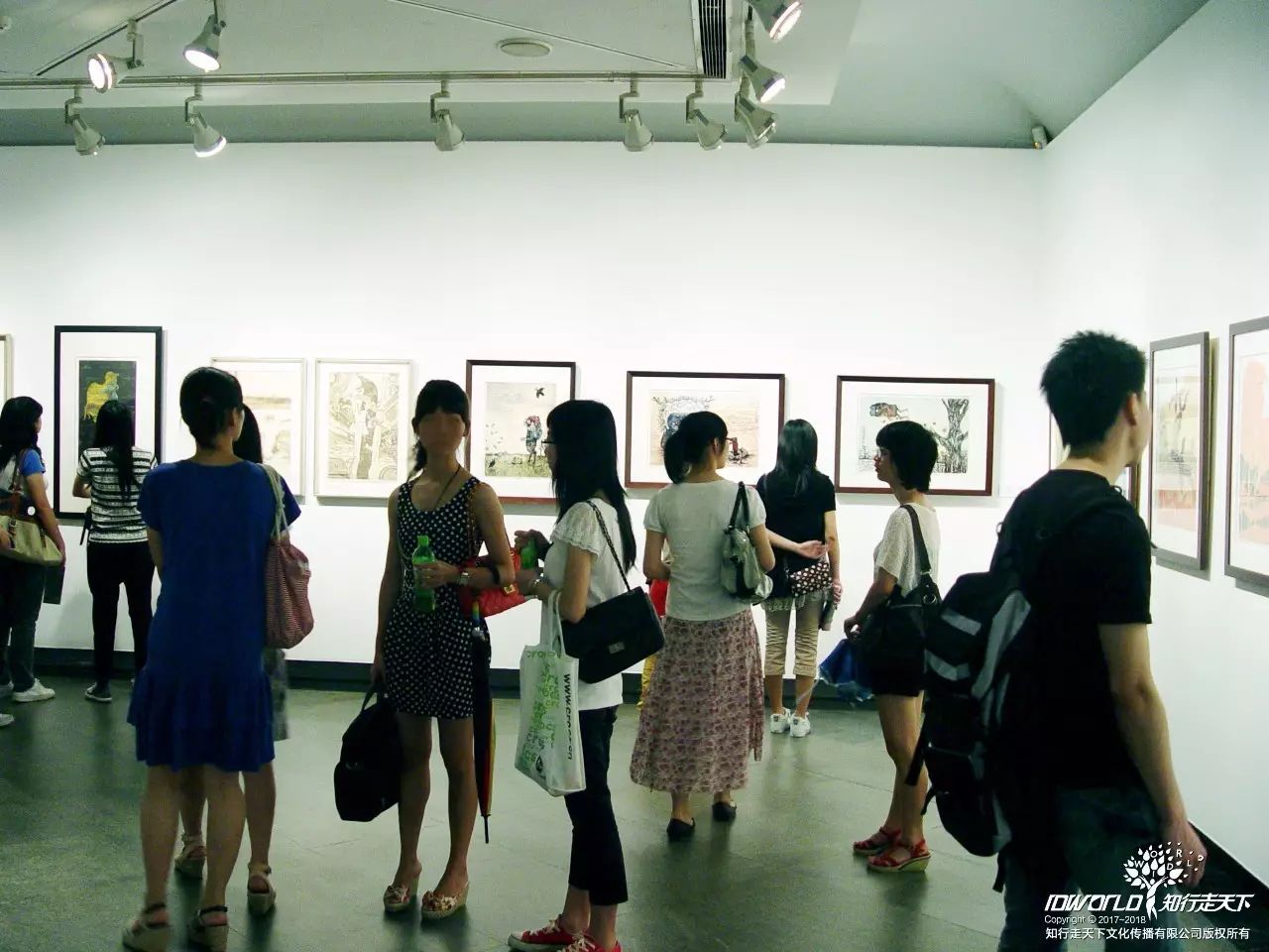 深圳知行走天下文化传播有限公司