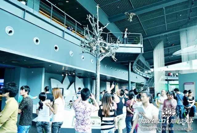 深圳知行走天下文化传播有限公司