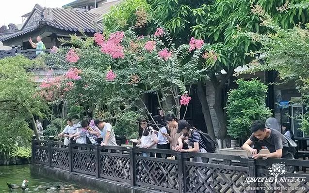 深圳知行走天下文化传播有限公司
