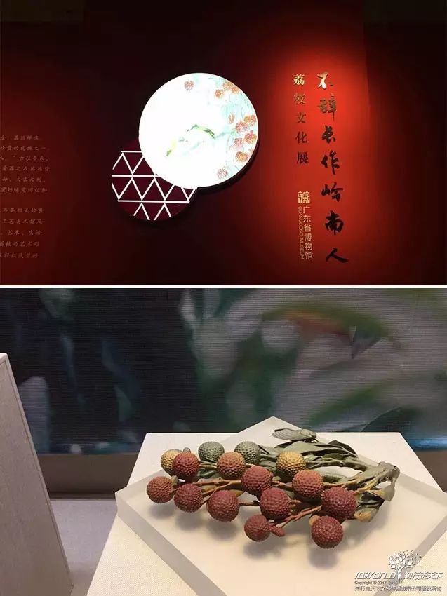 深圳知行走天下文化传播有限公司