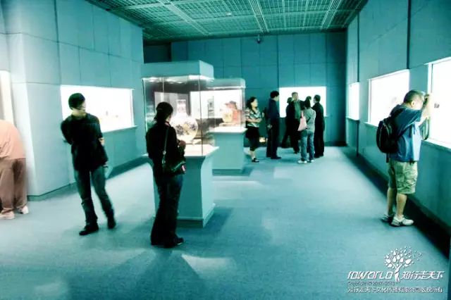 深圳知行走天下文化传播有限公司
