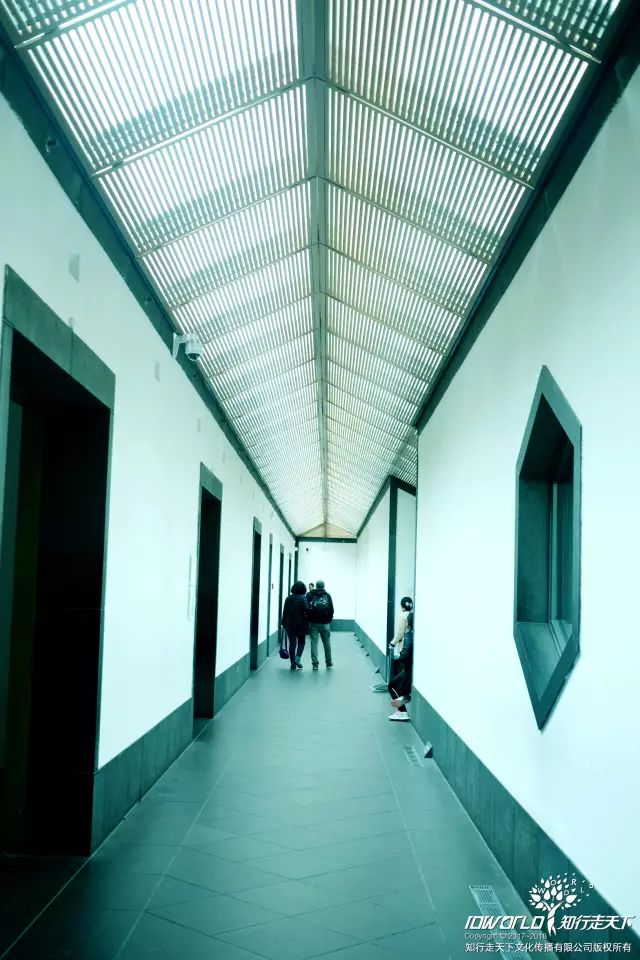 深圳知行走天下文化传播有限公司