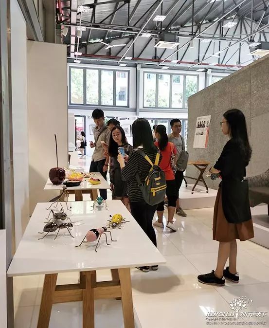 深圳知行走天下文化传播有限公司