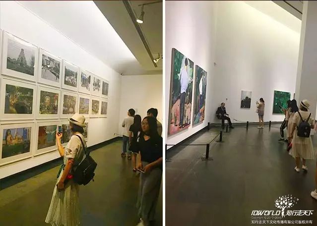 深圳知行走天下文化传播有限公司