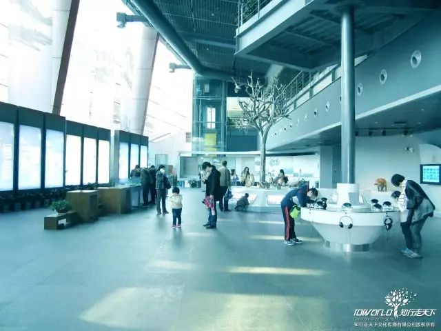 深圳知行走天下文化传播有限公司