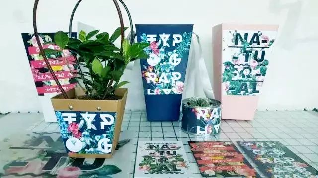 深圳知行走天下文化传播有限公司