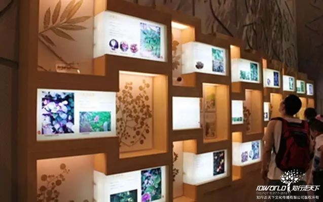 深圳知行走天下文化传播有限公司